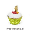 papilotki 01.jpg